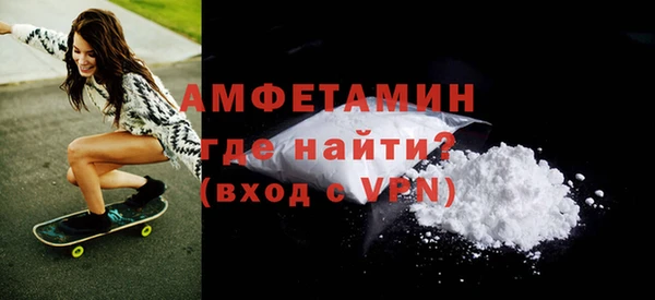 гашик Каменка