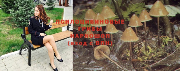 mdpv Арсеньев